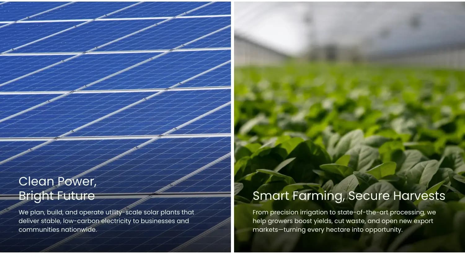 Ecotech